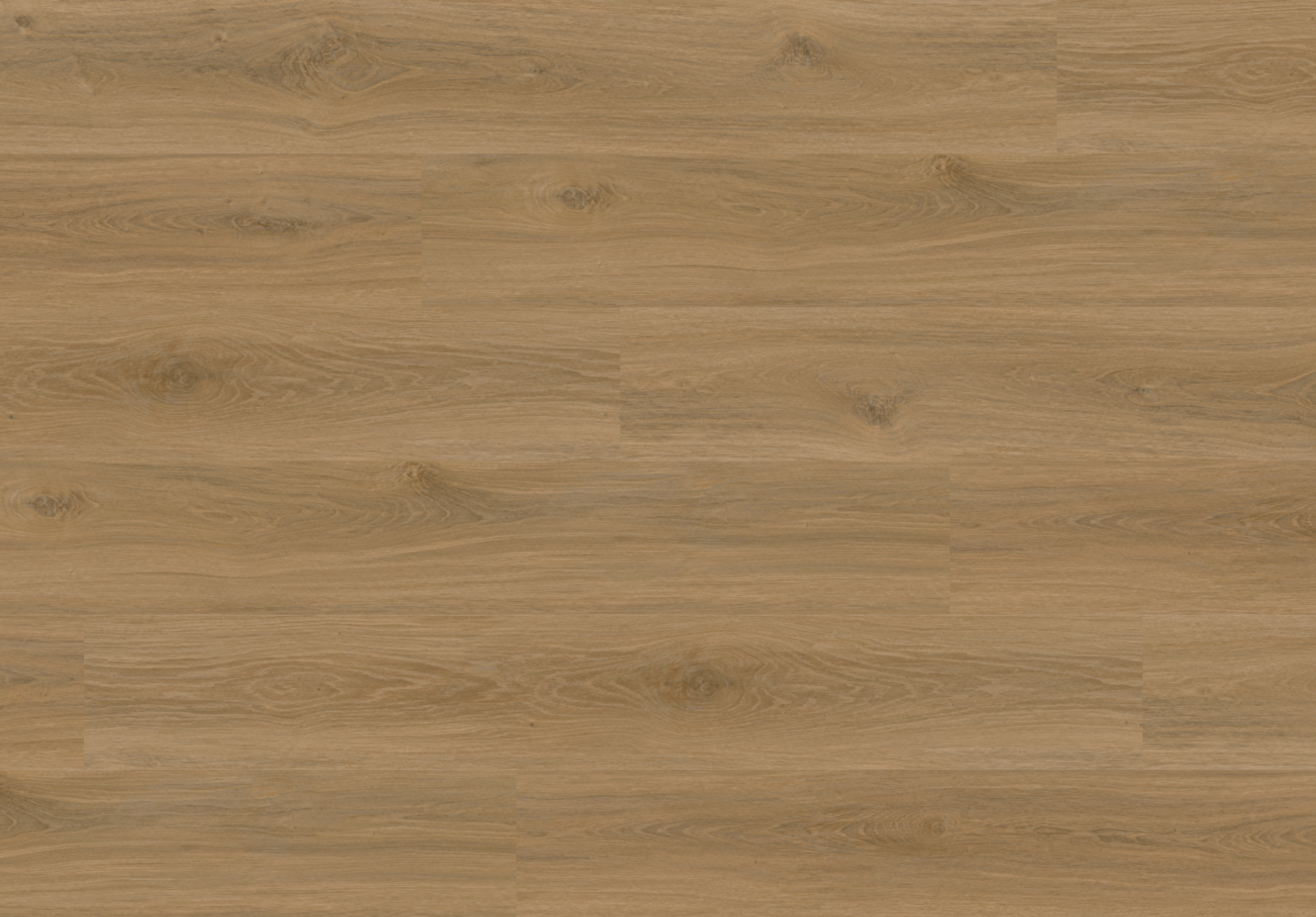 Aspecta Macadamia IC55