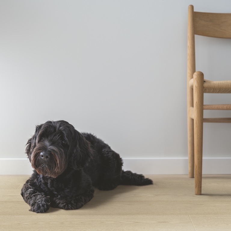 Nordic Sand Oak - Image 2