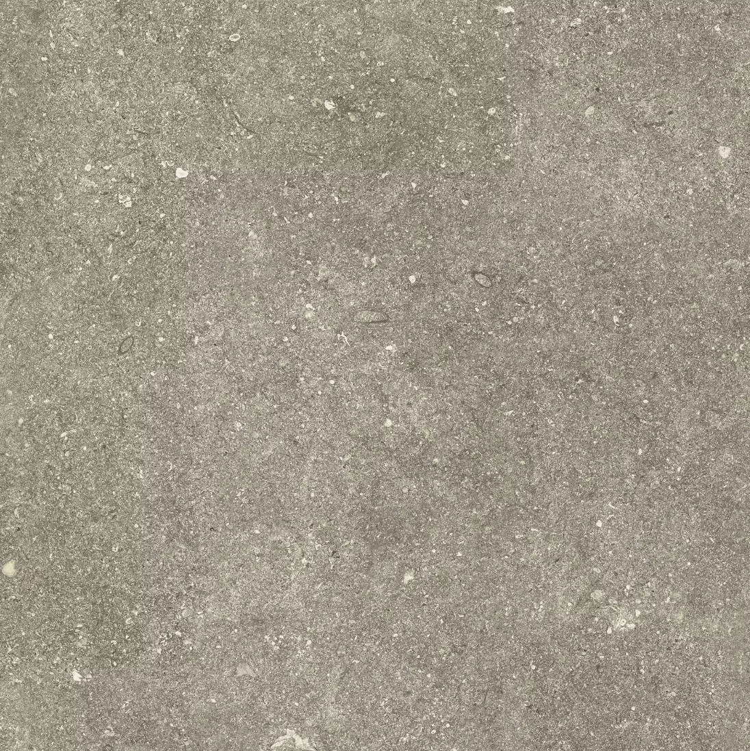 Taupe Elegance Nat 120x120 cm - Image 2