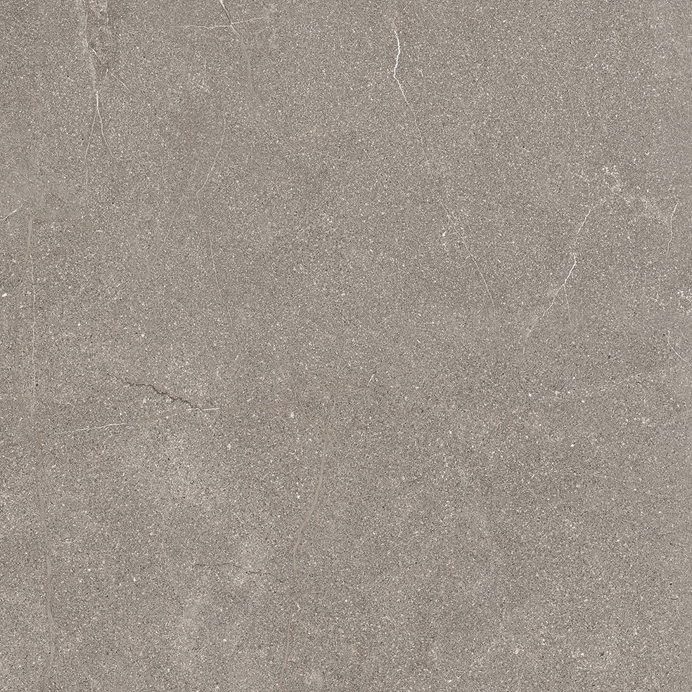 Rare Stone Taupe 60x60 cm