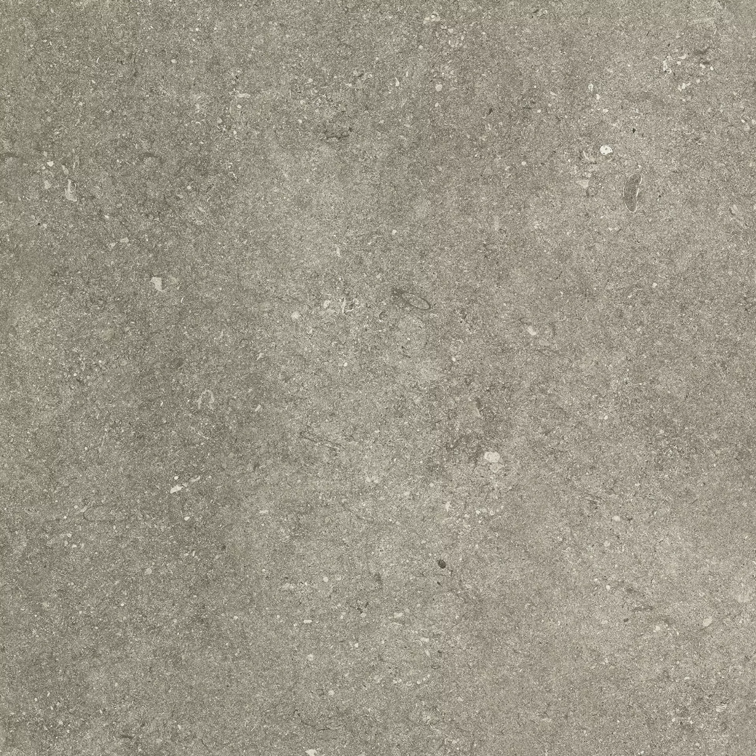 Taupe Elegance Lap 80x80 - Image 2