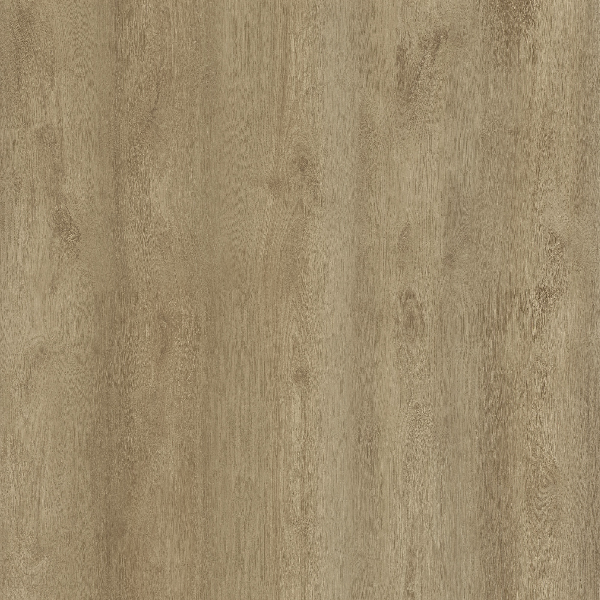 Gotham Oak Ecru - Image 2
