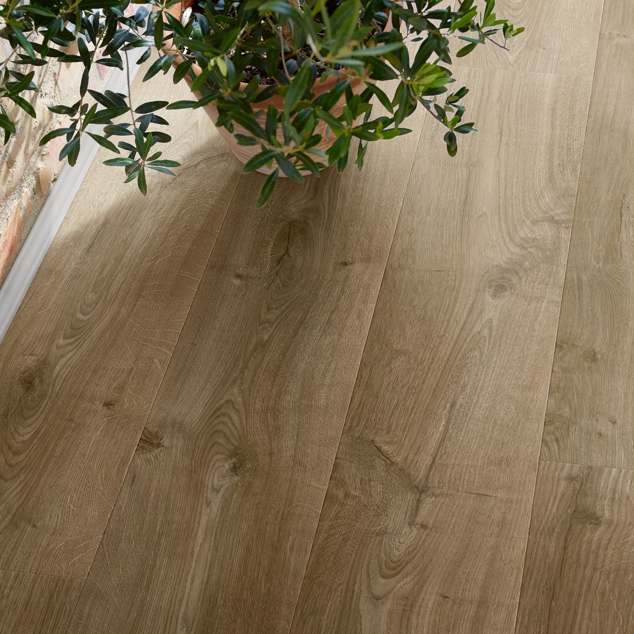 Trondheim Browned Oak