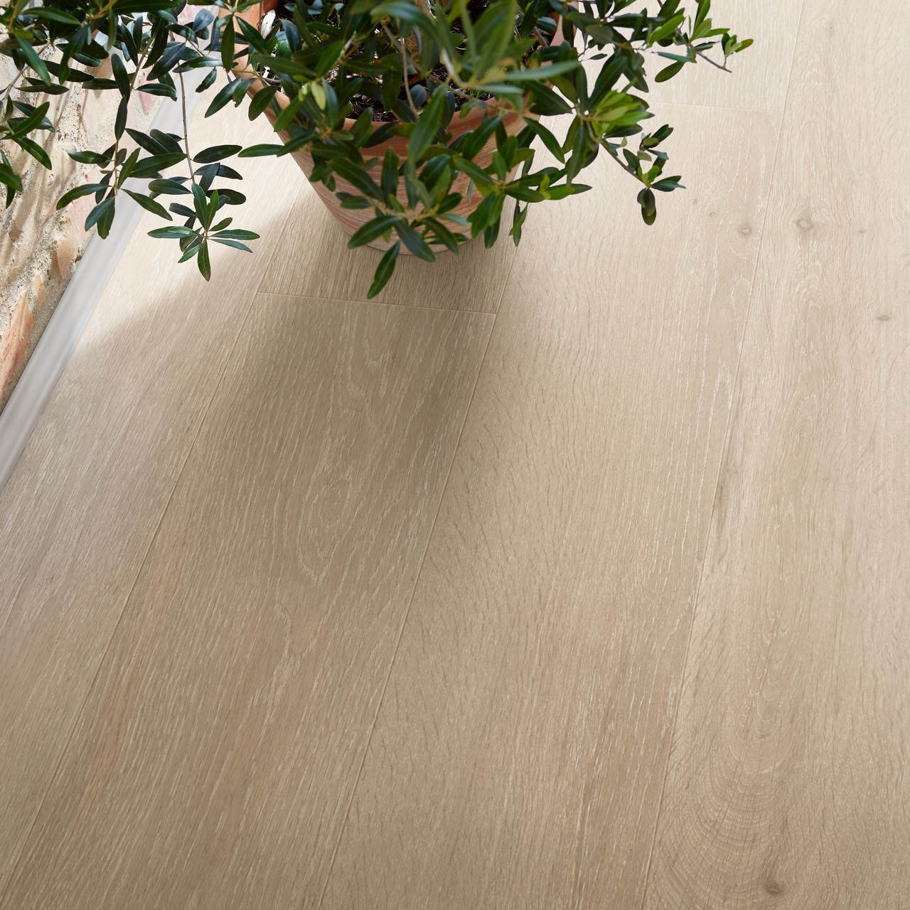 Trondheim Romantic Greige Oak - Image 2