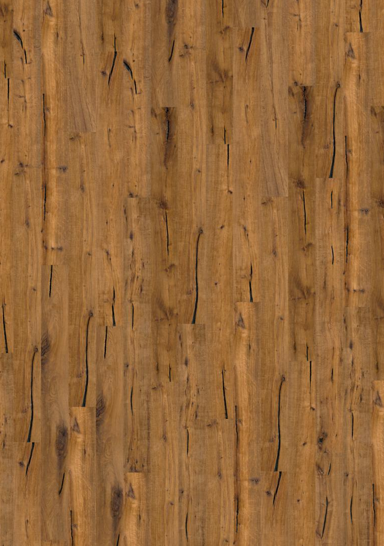 Kentucky Denvrust 1-st DEKKRI - Image 2